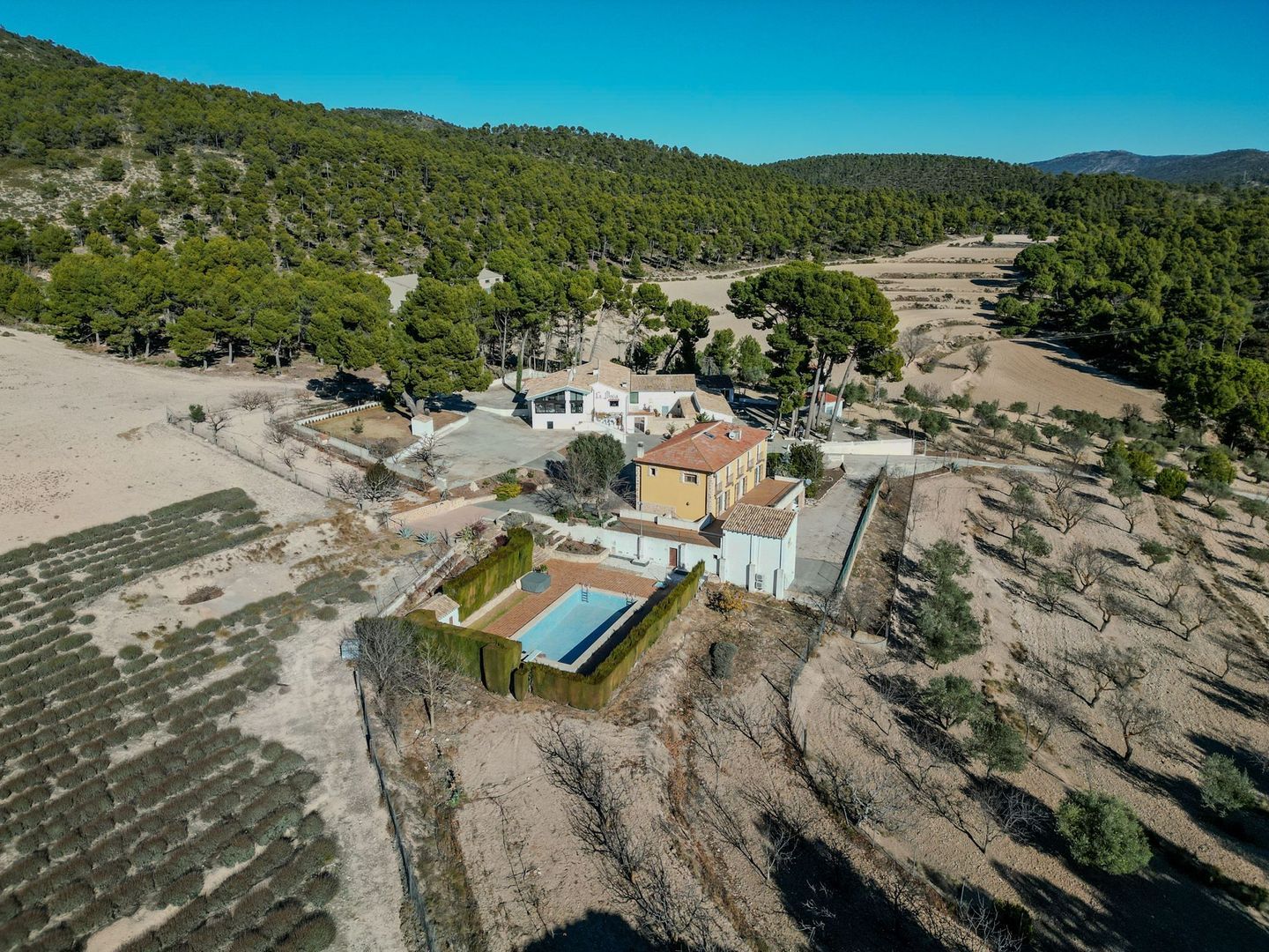Landgoed Jijona, Alicante, Jijona foto-9
