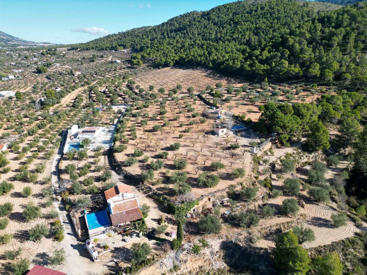 Plot for finca in Ibi, Ibi foto-1