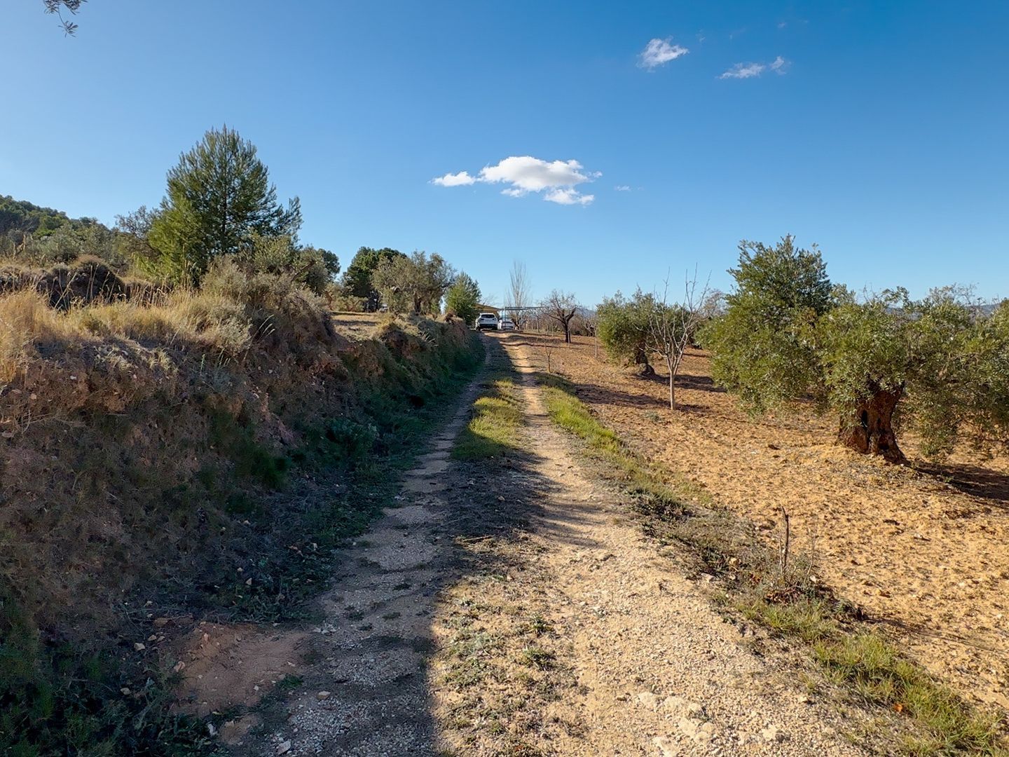 Plot for finca in Ibi, Ibi foto-11