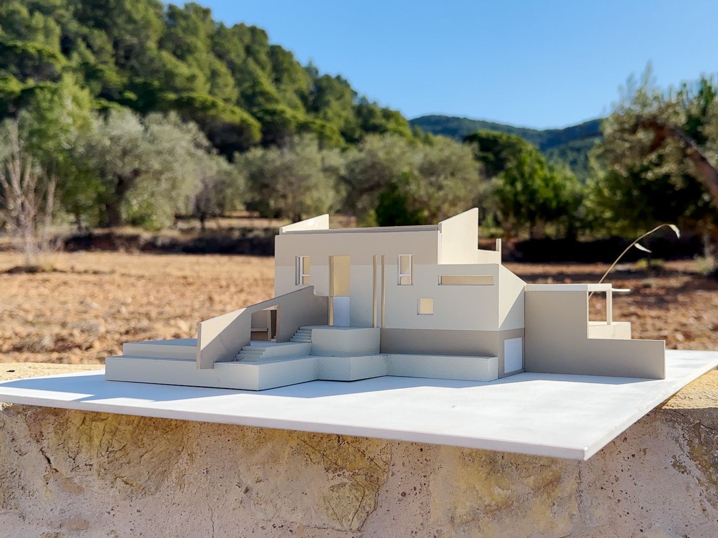 Plot for finca in Ibi, Ibi foto-12