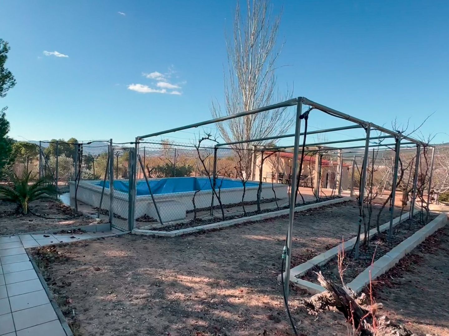 Plot for finca in Ibi, Ibi foto-7