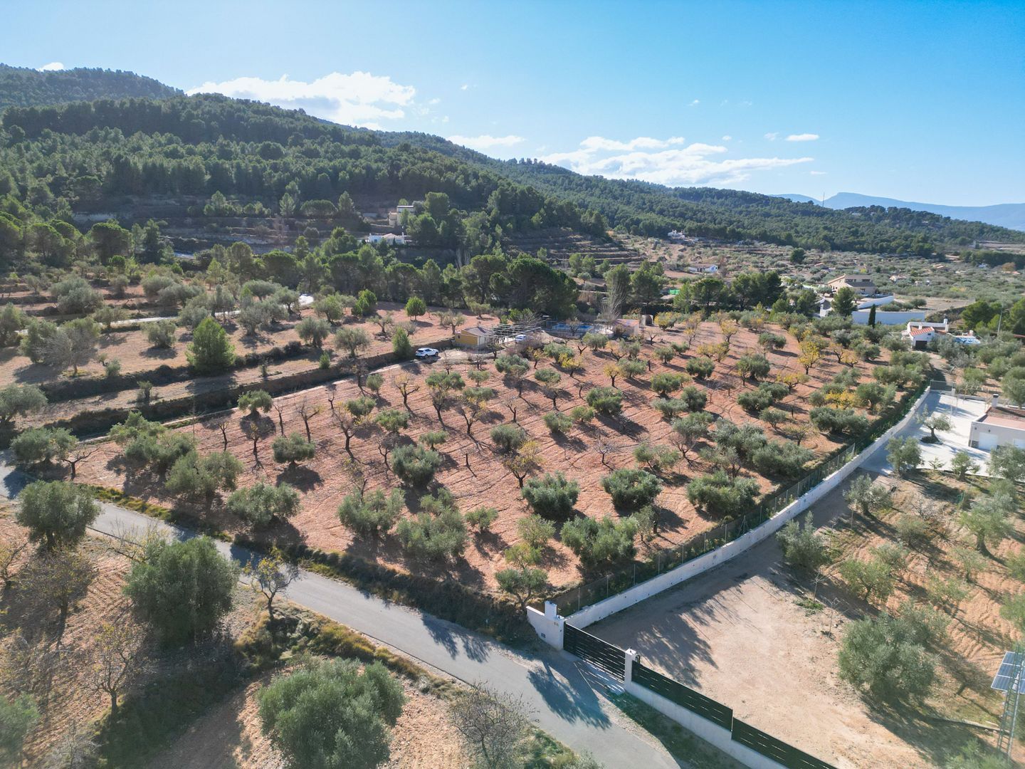 Plot for finca in Ibi, Ibi foto-4