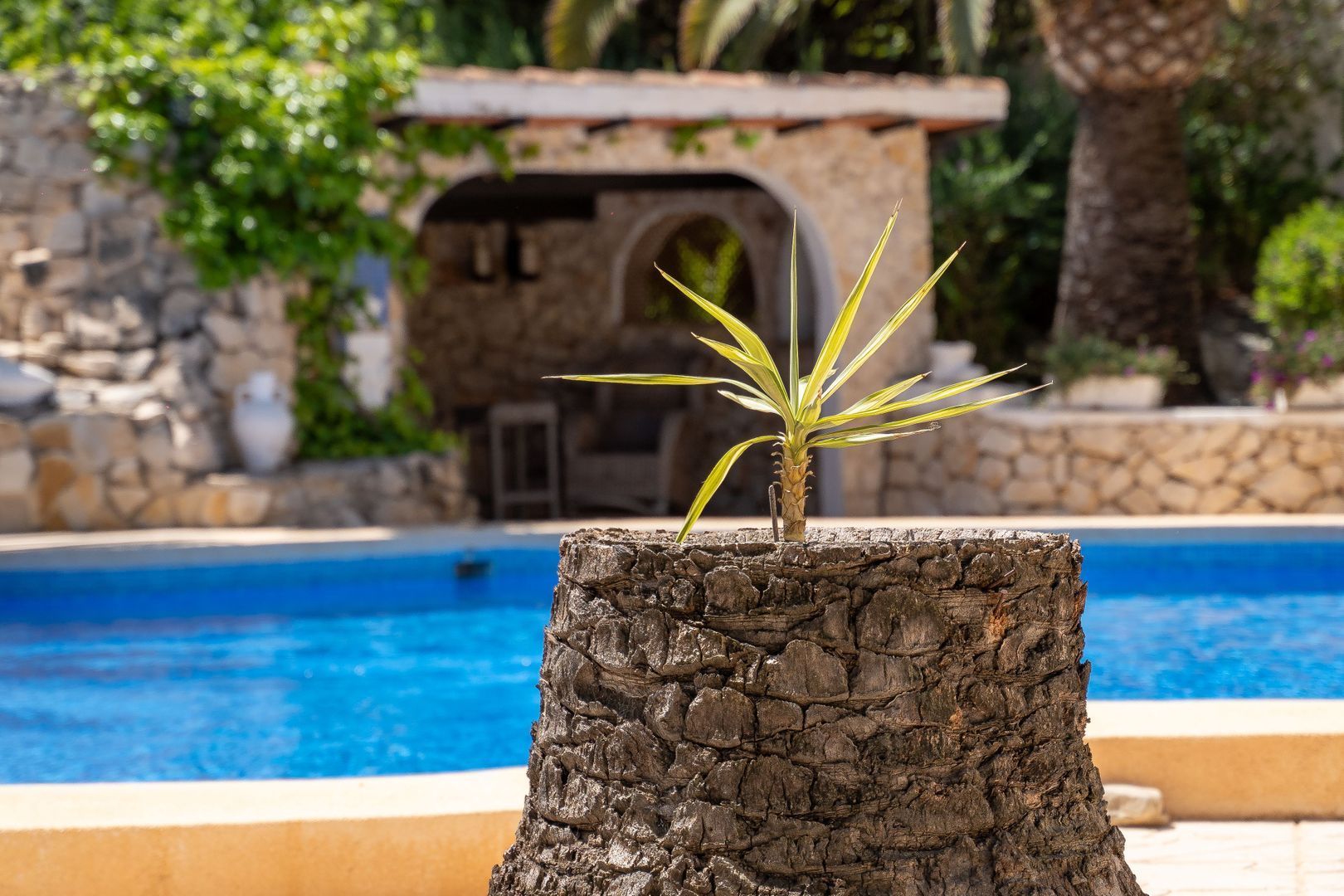 Luxe villa, Calpe foto-64