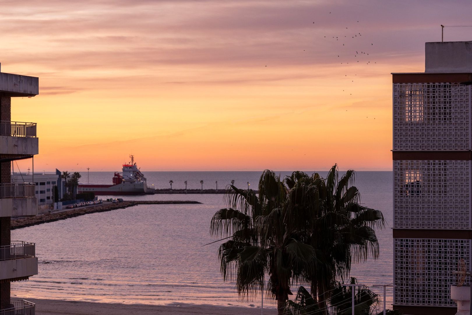 Nieuwbouw Aparthotel, dichtbij zee, Santa Pola foto-50