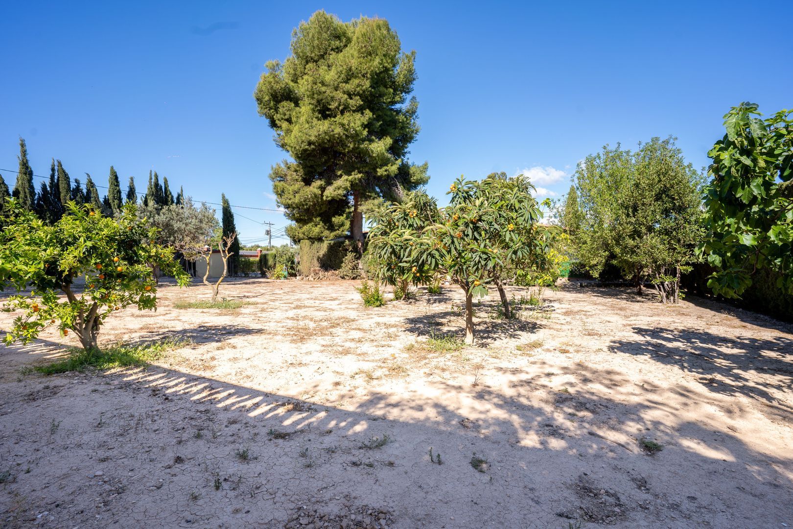 Villa in Alicante, Villafranqueza foto-12