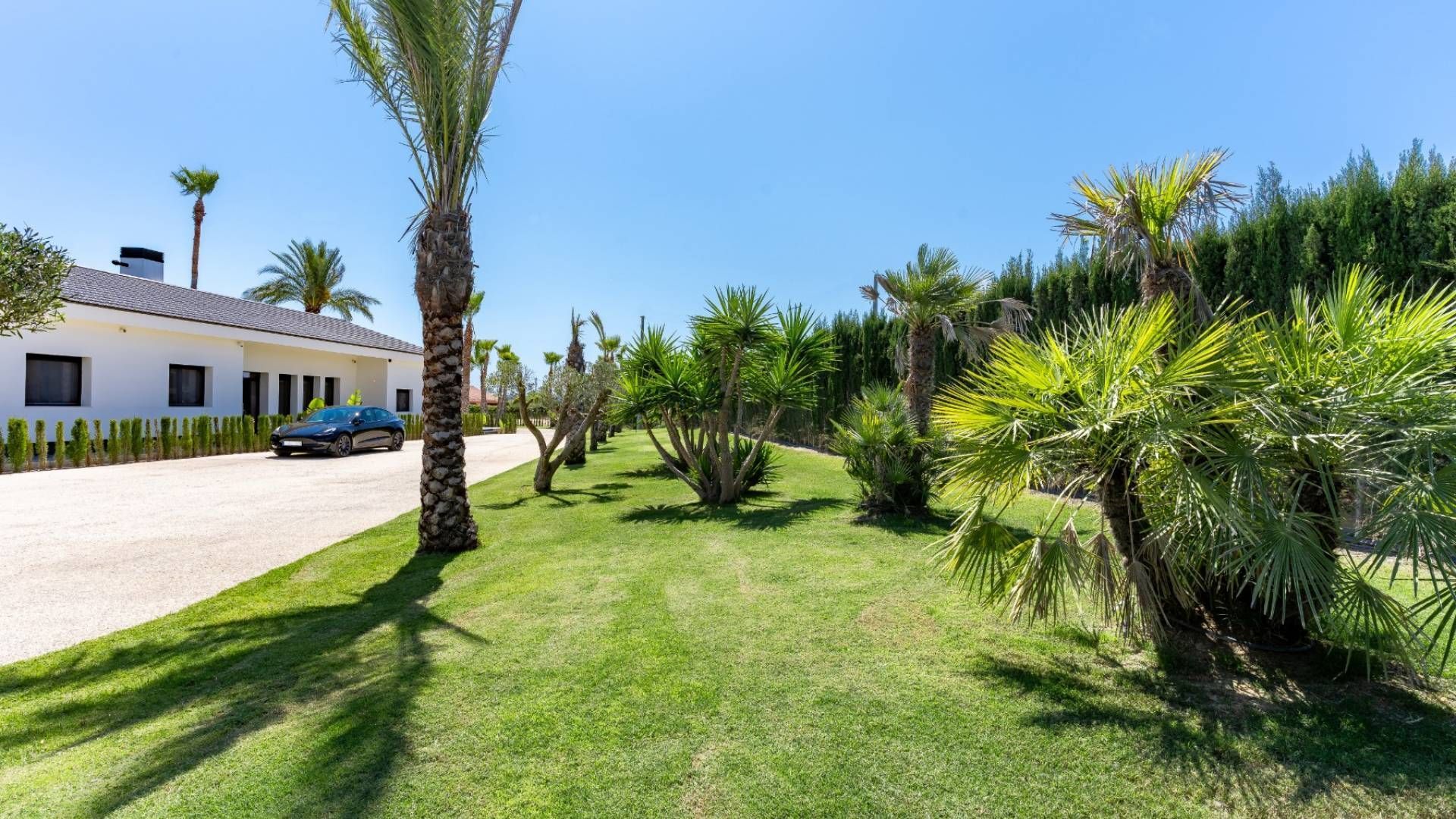 Luxury villa, Elche foto-18