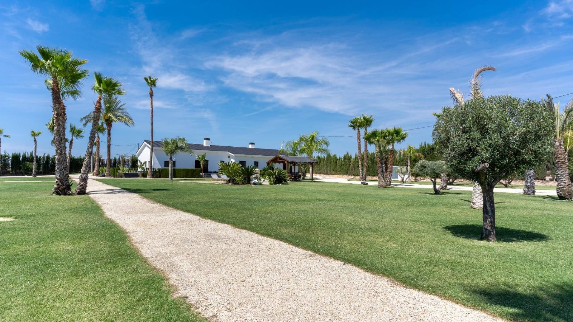 Luxury villa, Elche foto-22