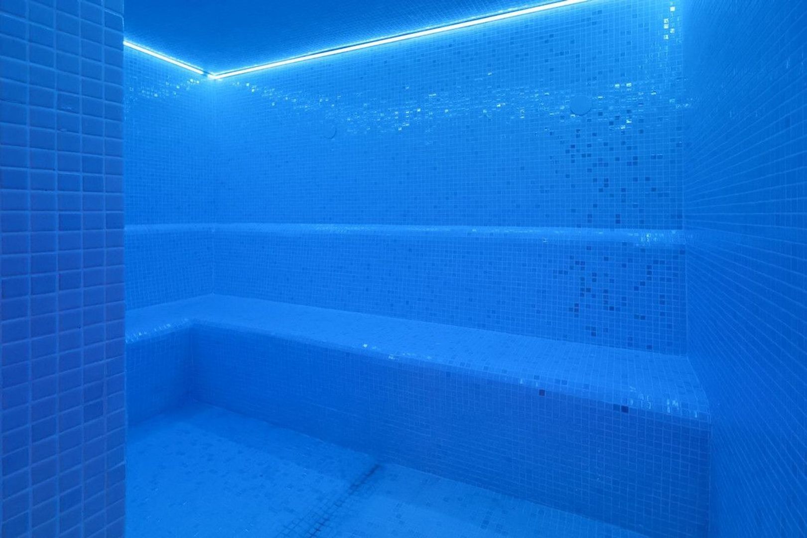 Exclusive villa near Puerto Marina, Benalmadena Costa foto-38