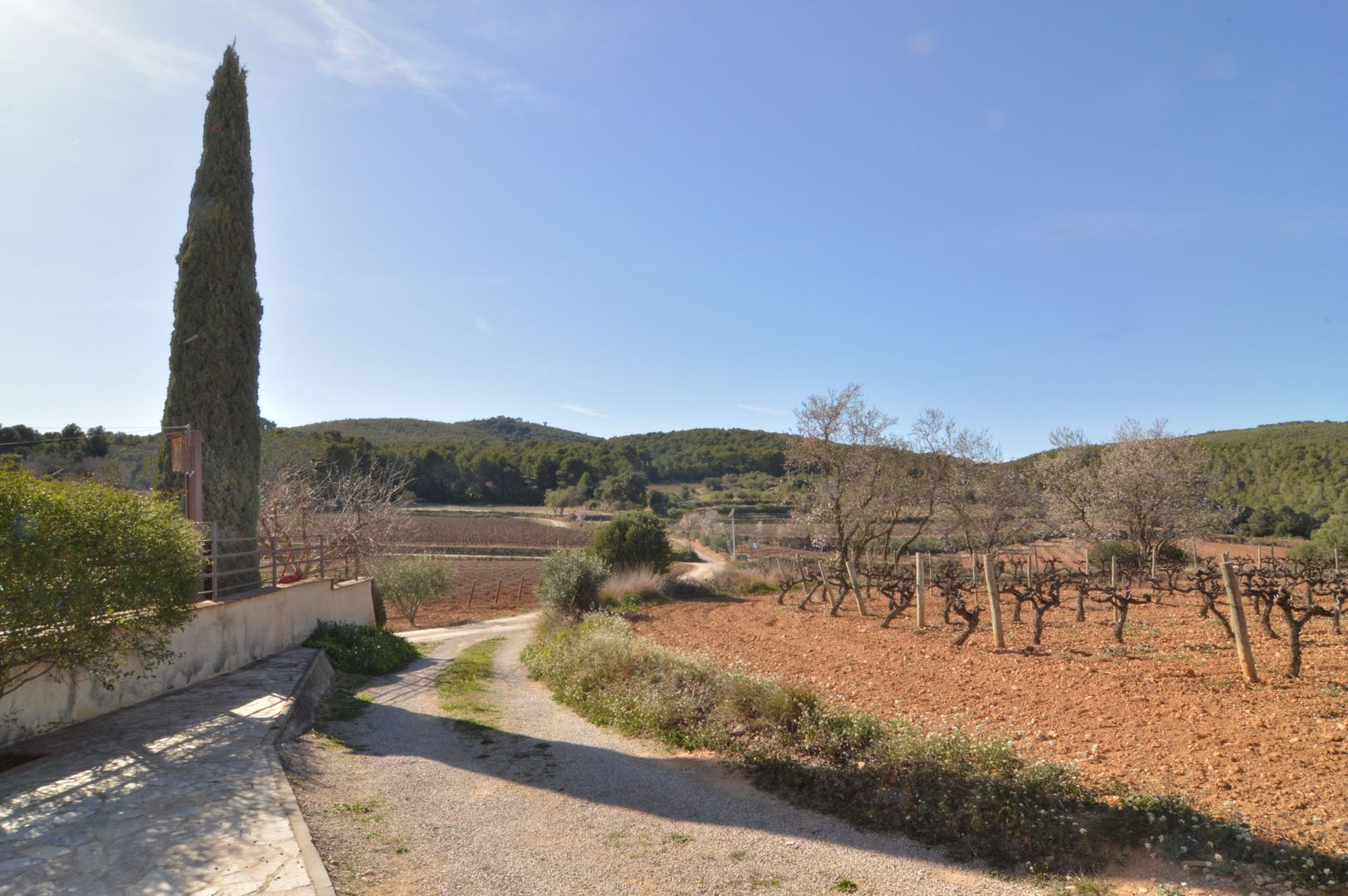 Characterful renovated Catalan masia, Barcelona (the winelands) foto-30