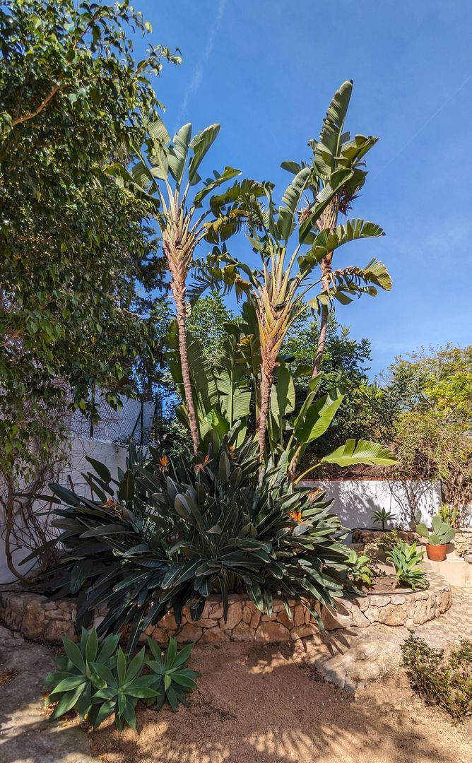 Captivating elegance, Vilanova i la Geltru (Barcelona South) foto-54