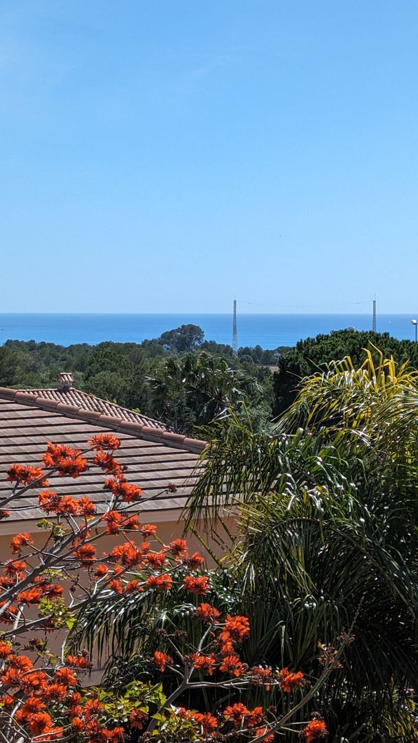 Captivating elegance, Vilanova i la Geltru (Barcelona South) foto-45