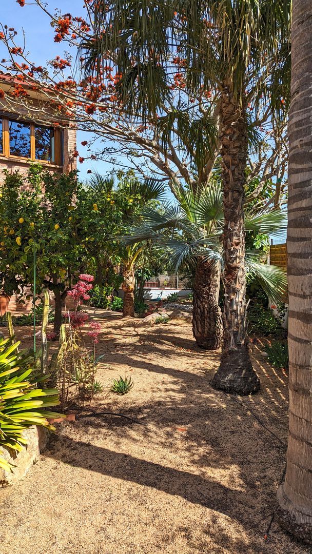 Captivating elegance, Vilanova i la Geltru (Barcelona South) foto-48