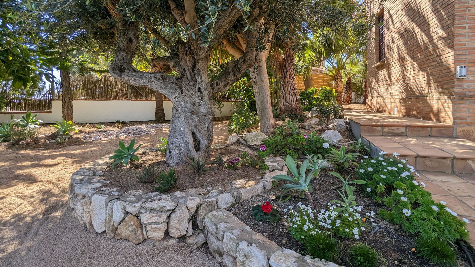 Captivating elegance, Vilanova i la Geltru (Barcelona South) foto-50