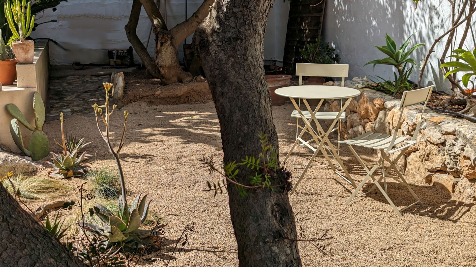 Captivating elegance, Vilanova i la Geltru (Barcelona South) foto-49