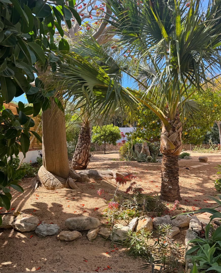 Captivating elegance, Vilanova i la Geltru (Barcelona South) foto-61