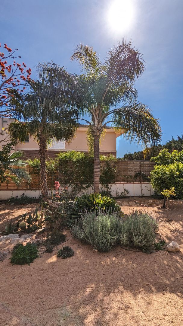 Captivating elegance, Vilanova i la Geltru (Barcelona South) foto-53