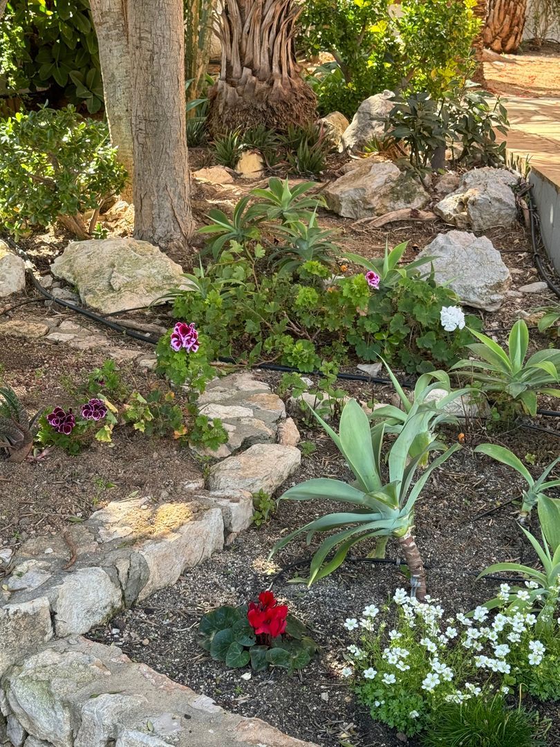 Captivating elegance, Vilanova i la Geltru (Barcelona South) foto-56