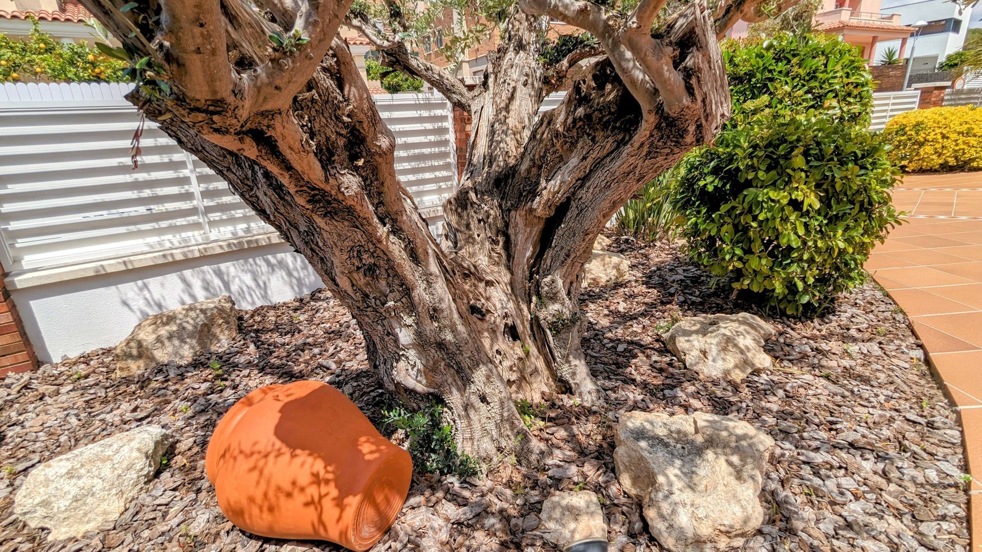 Quality an step from the beach, Calafell (close to Barcelona) foto-42