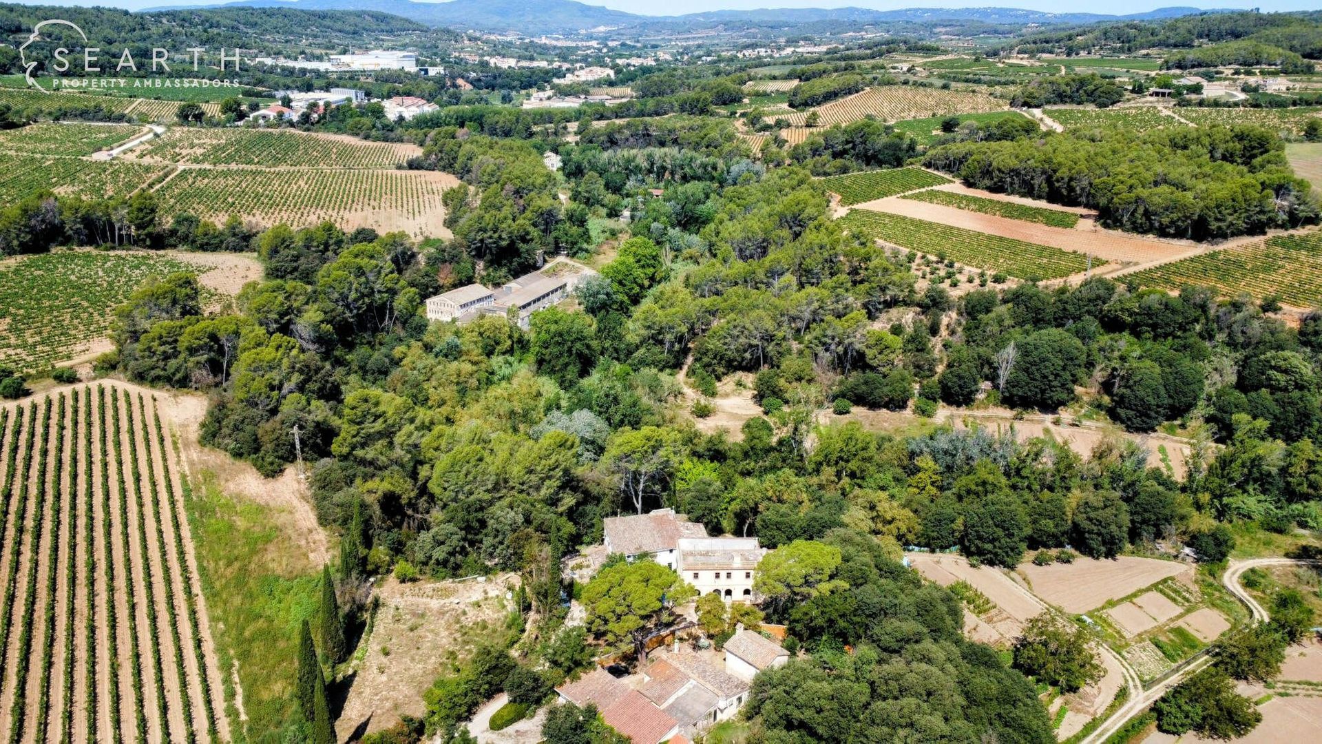 Nestled in the Catalan winelands, Alt Penedès foto-4