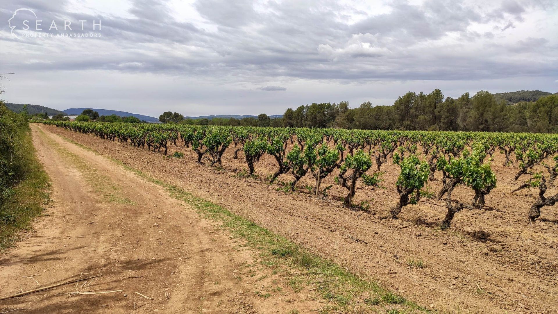 Nestled in the Catalan winelands, Alt Penedès foto-29