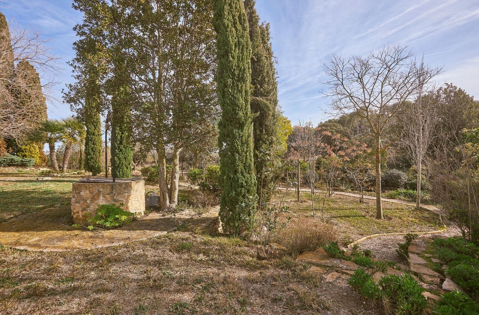 Surrounded by nature, Vilobí del Penedès (the winelands) foto-30