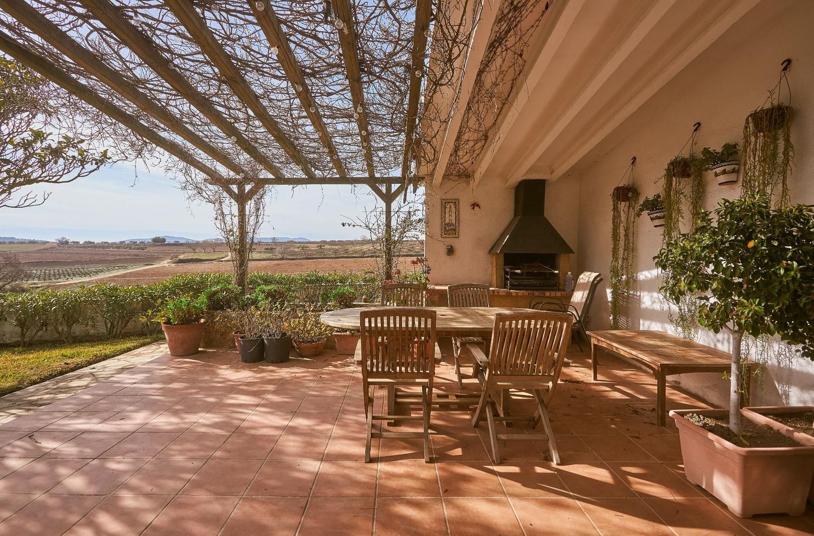 Surrounded by nature, Vilobí del Penedès (the winelands) foto-8