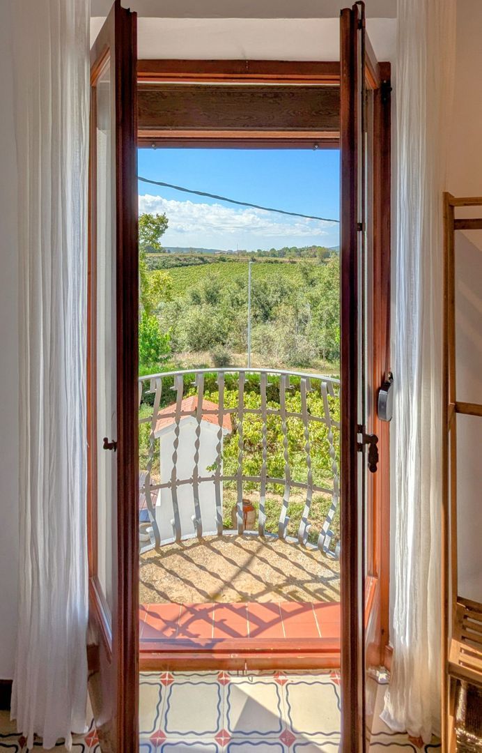 Fully tourist licensed, Barcelona (the winelands) foto-24