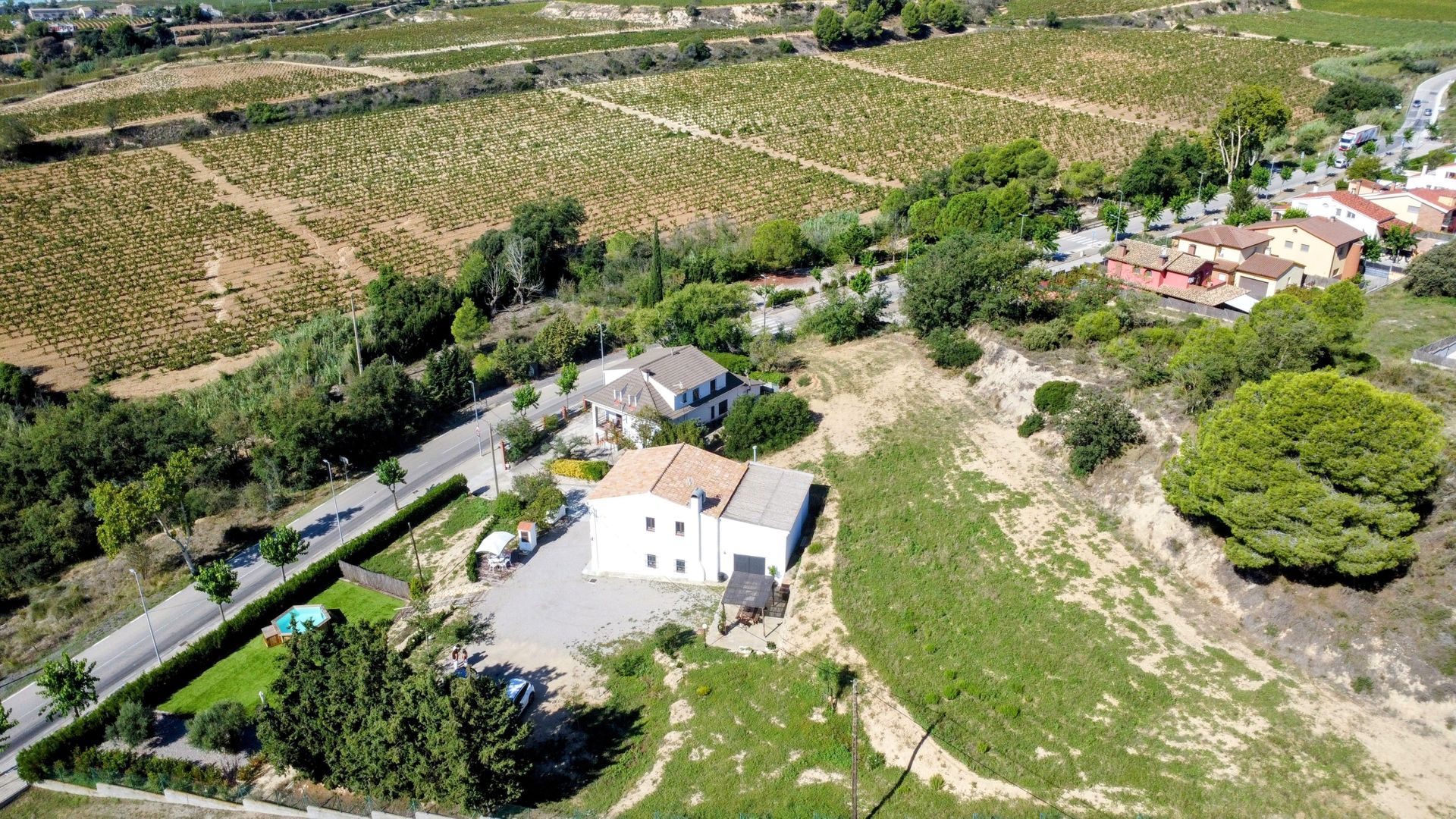 Fully tourist licensed, Barcelona (the winelands) foto-41