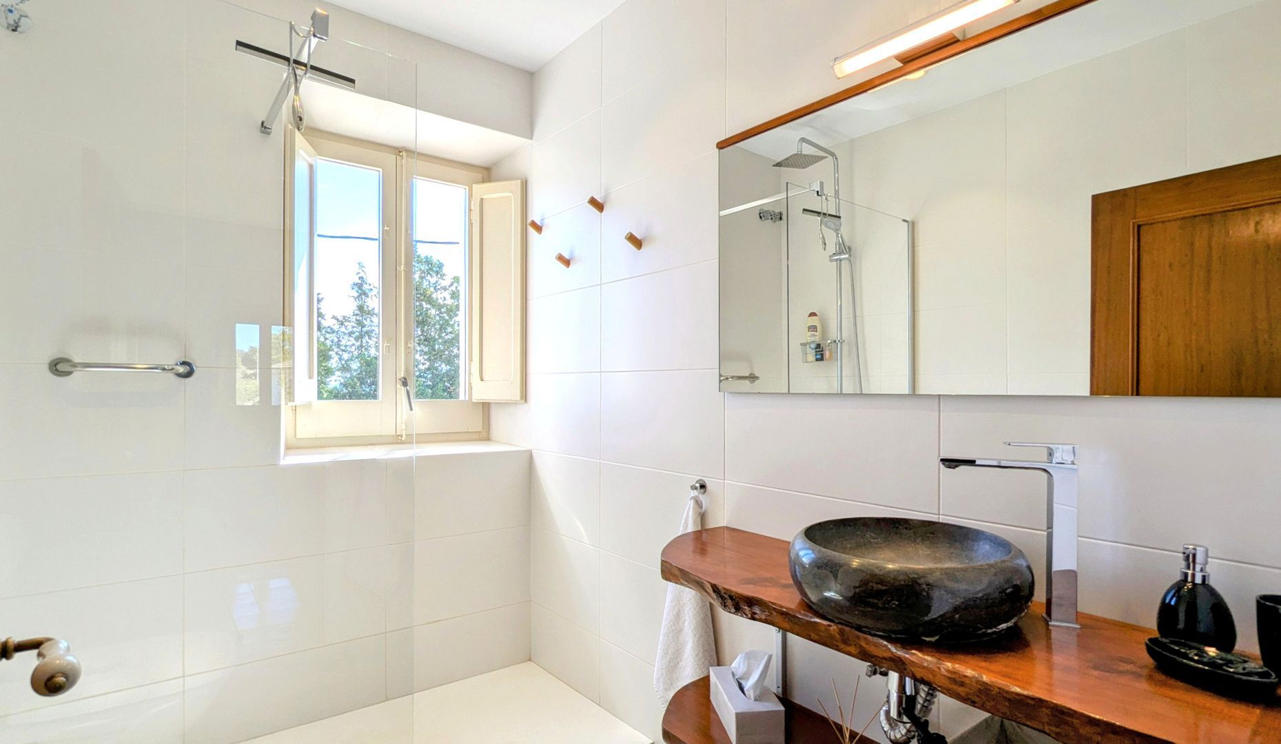 Fully tourist licensed, Barcelona (the winelands) foto-25