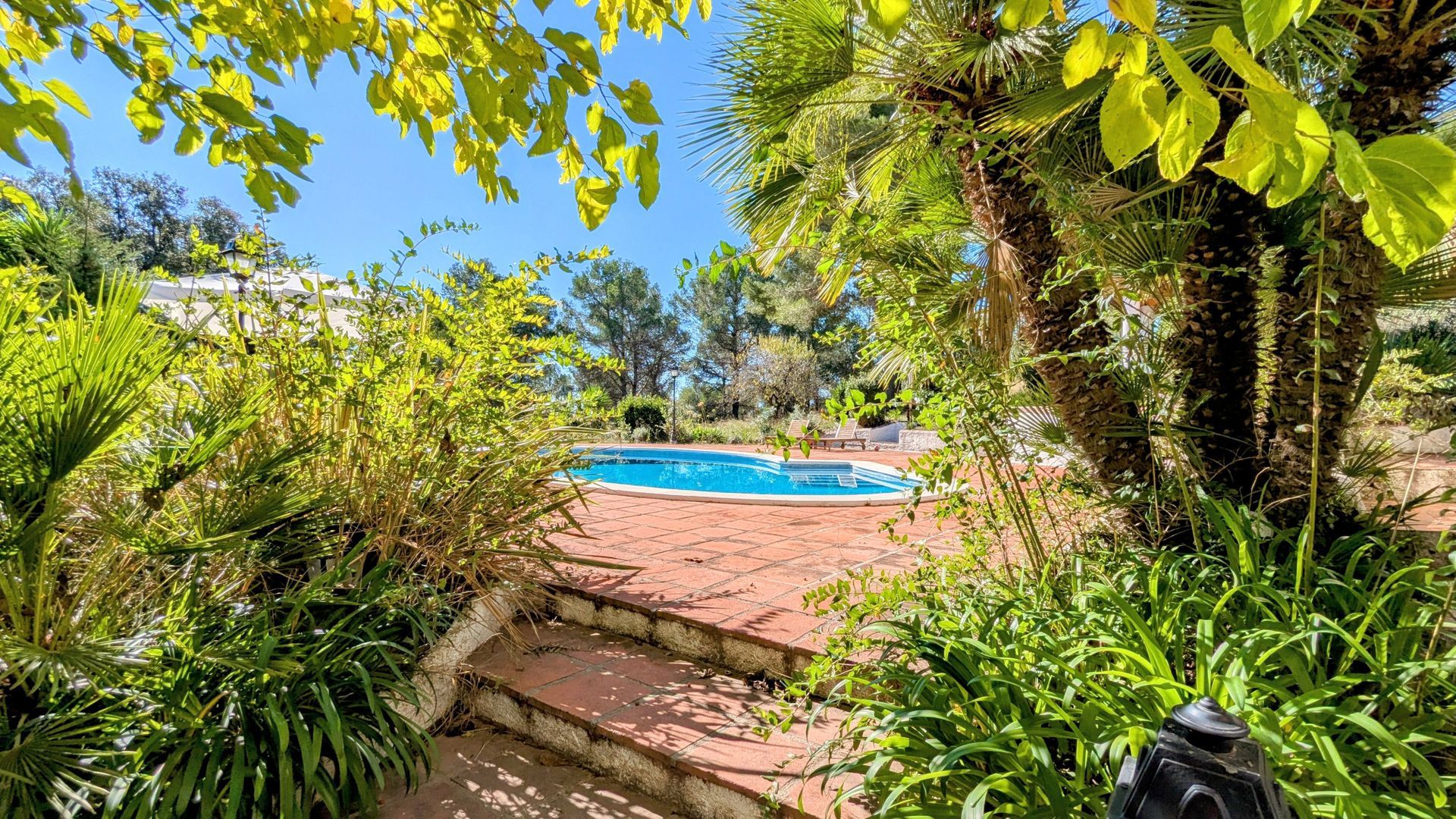 Object of desire, Barcelona South foto-22