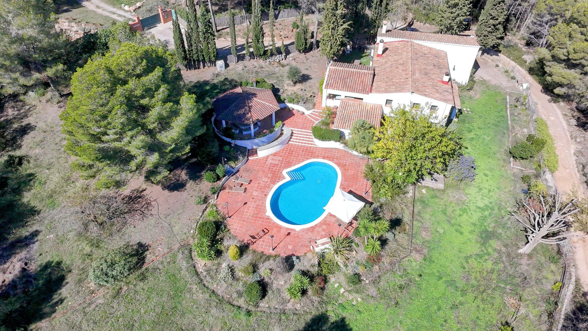 Object of desire, Barcelona South foto-1