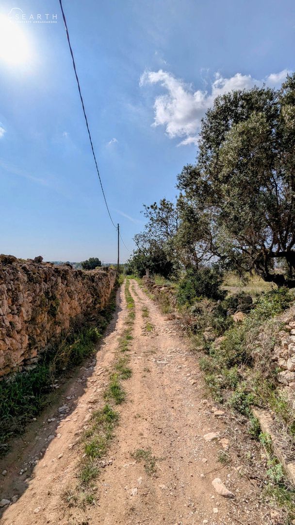 Masia and chapel, Sitges foto-19