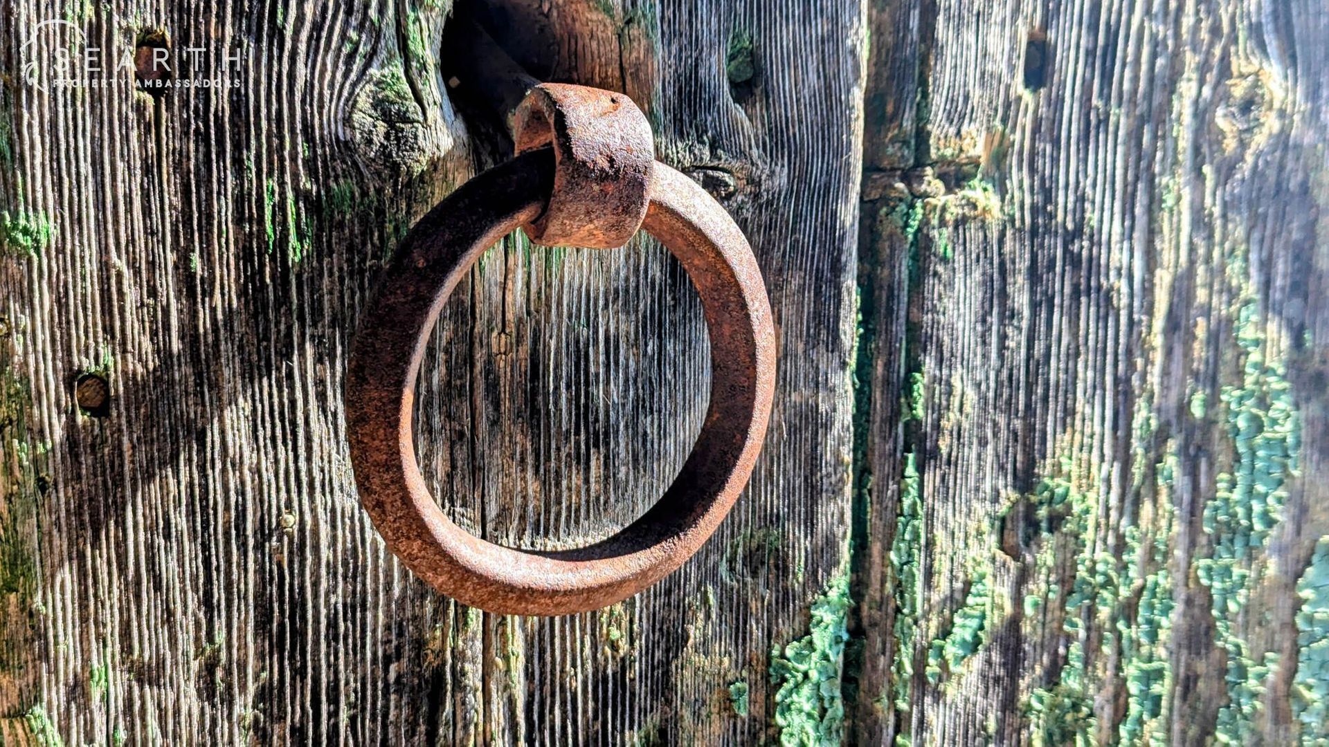 Masia and chapel, Sitges foto-10