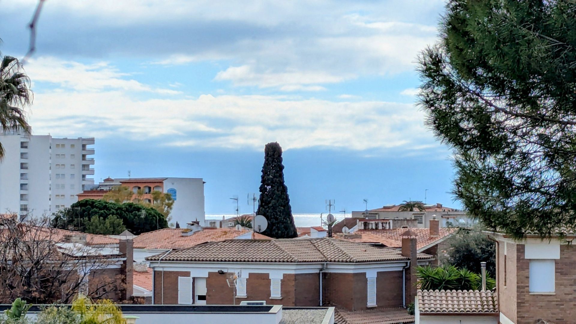 A step from the beach, Coma-Ruga foto-18