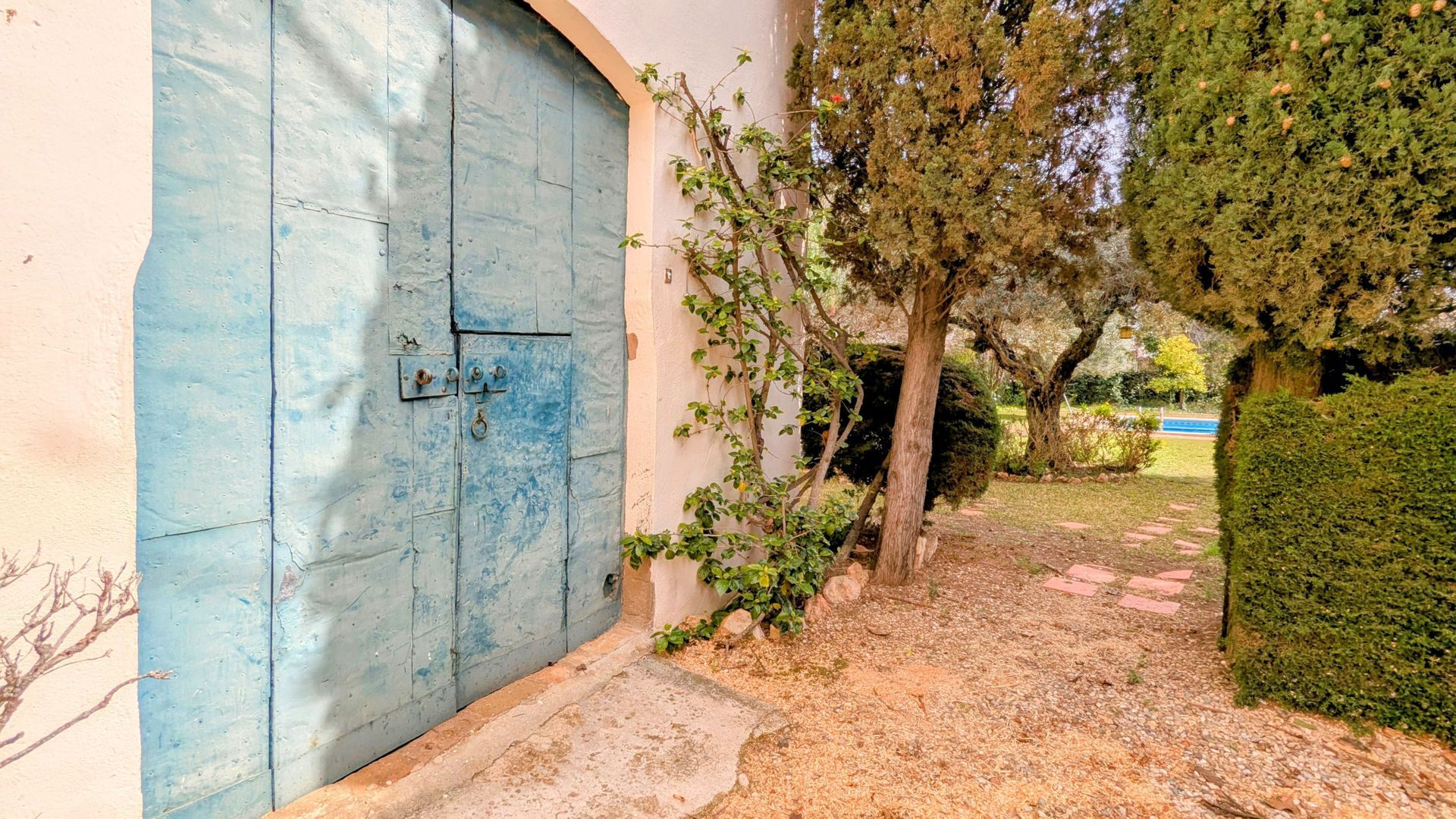 A step from the beach, Coma-Ruga foto-45