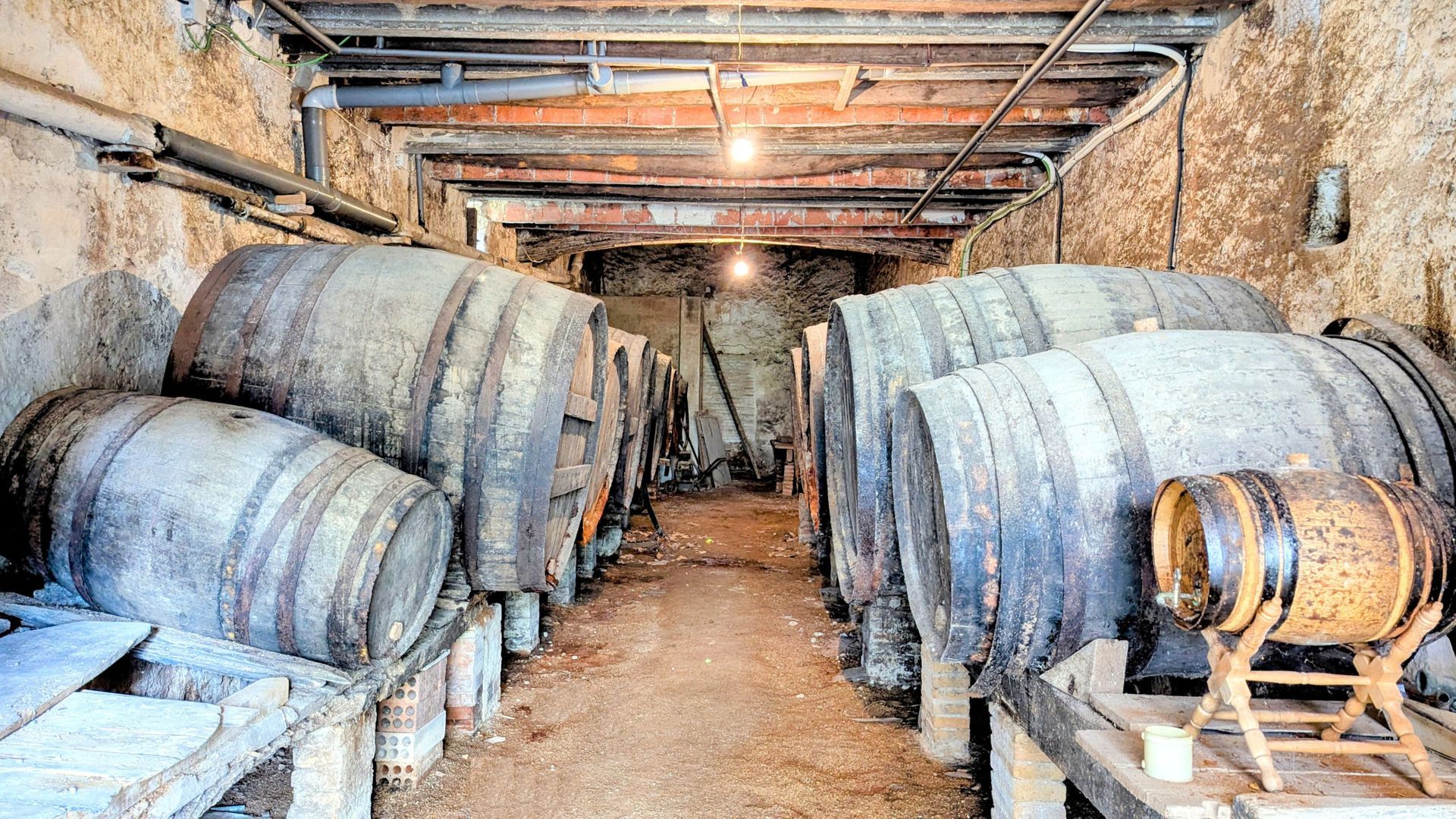 A step from the beach, Coma-Ruga foto-46