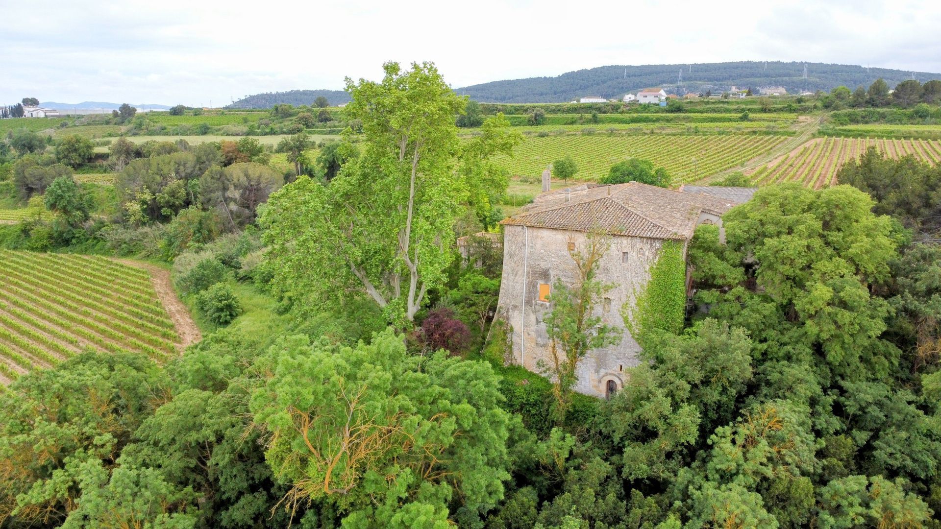 Baroness Castle, Catalan wine lands foto-36