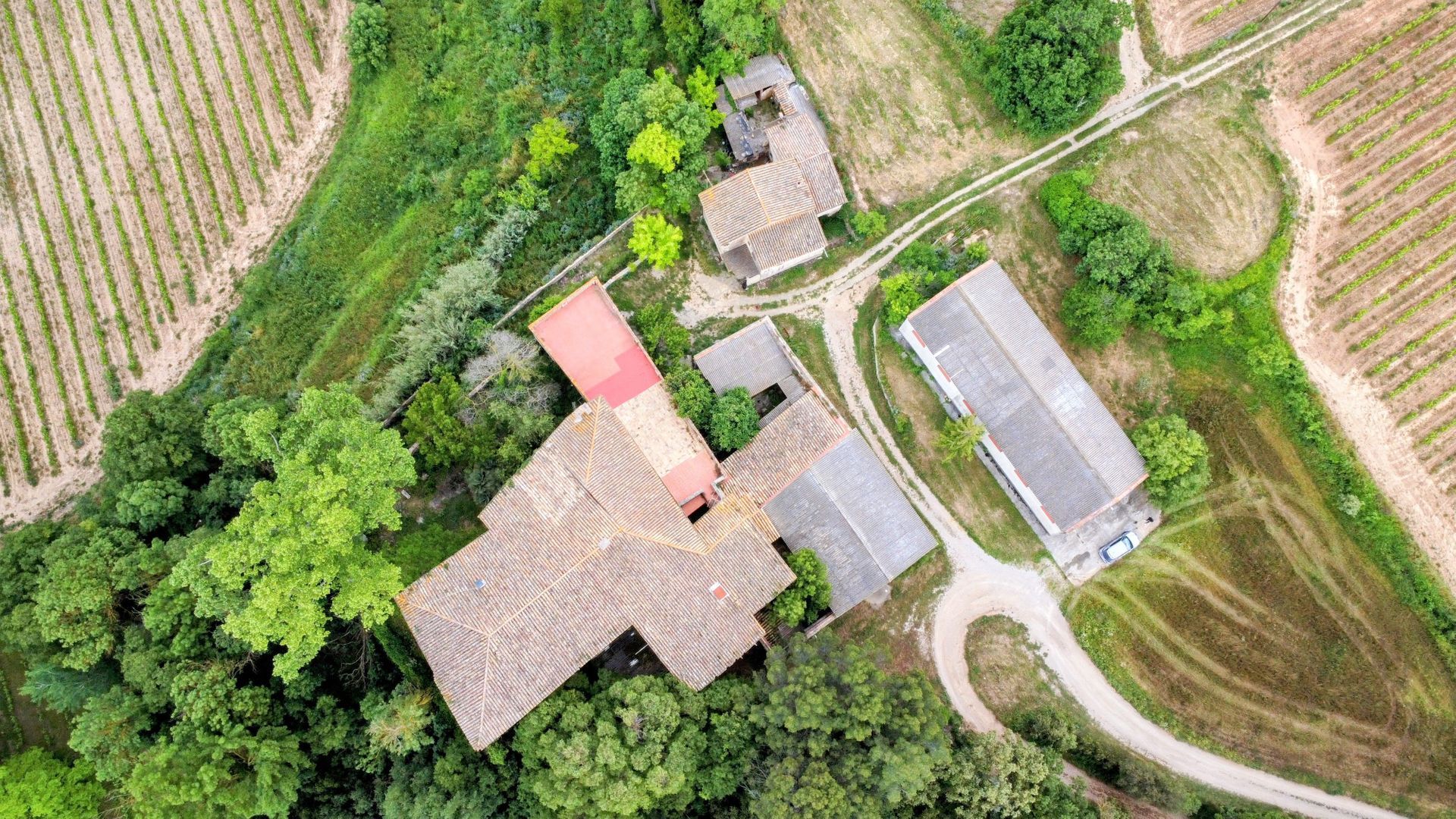 Baroness Castle, Catalan wine lands foto-2