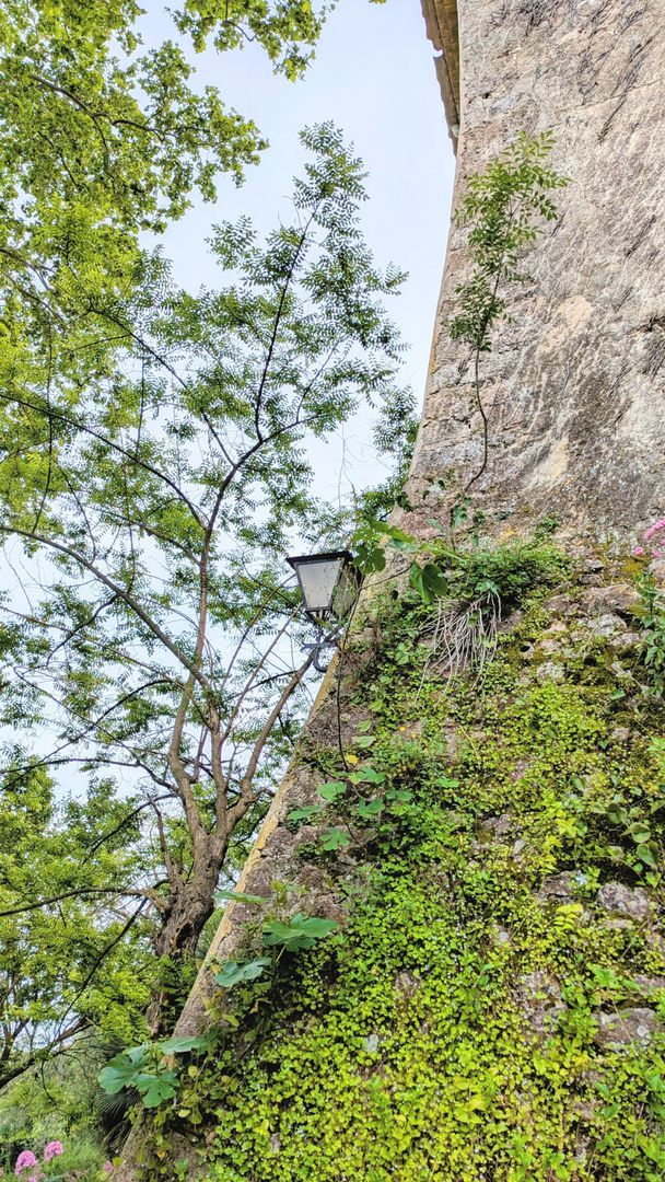 Baroness Castle, Catalan wine lands foto-44