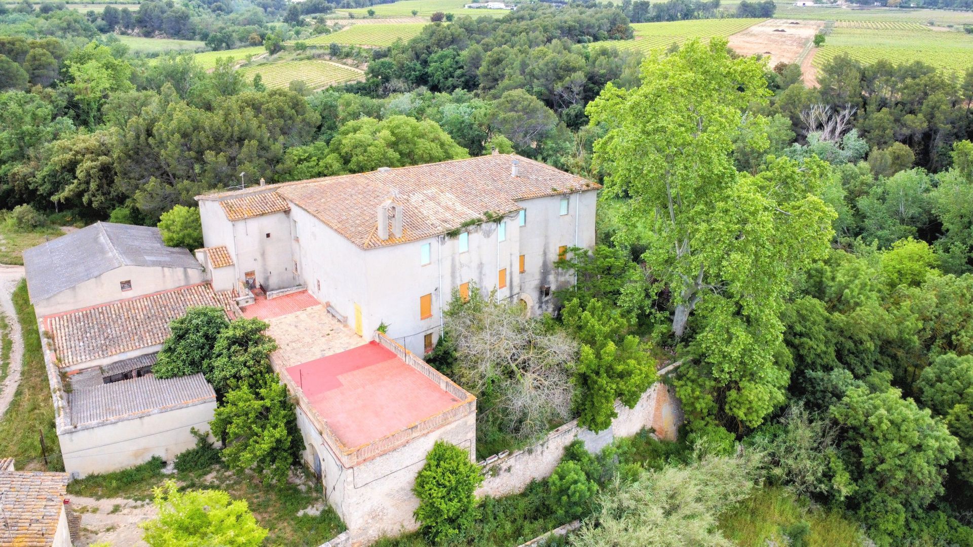 Baroness Castle, Catalan wine lands foto-0