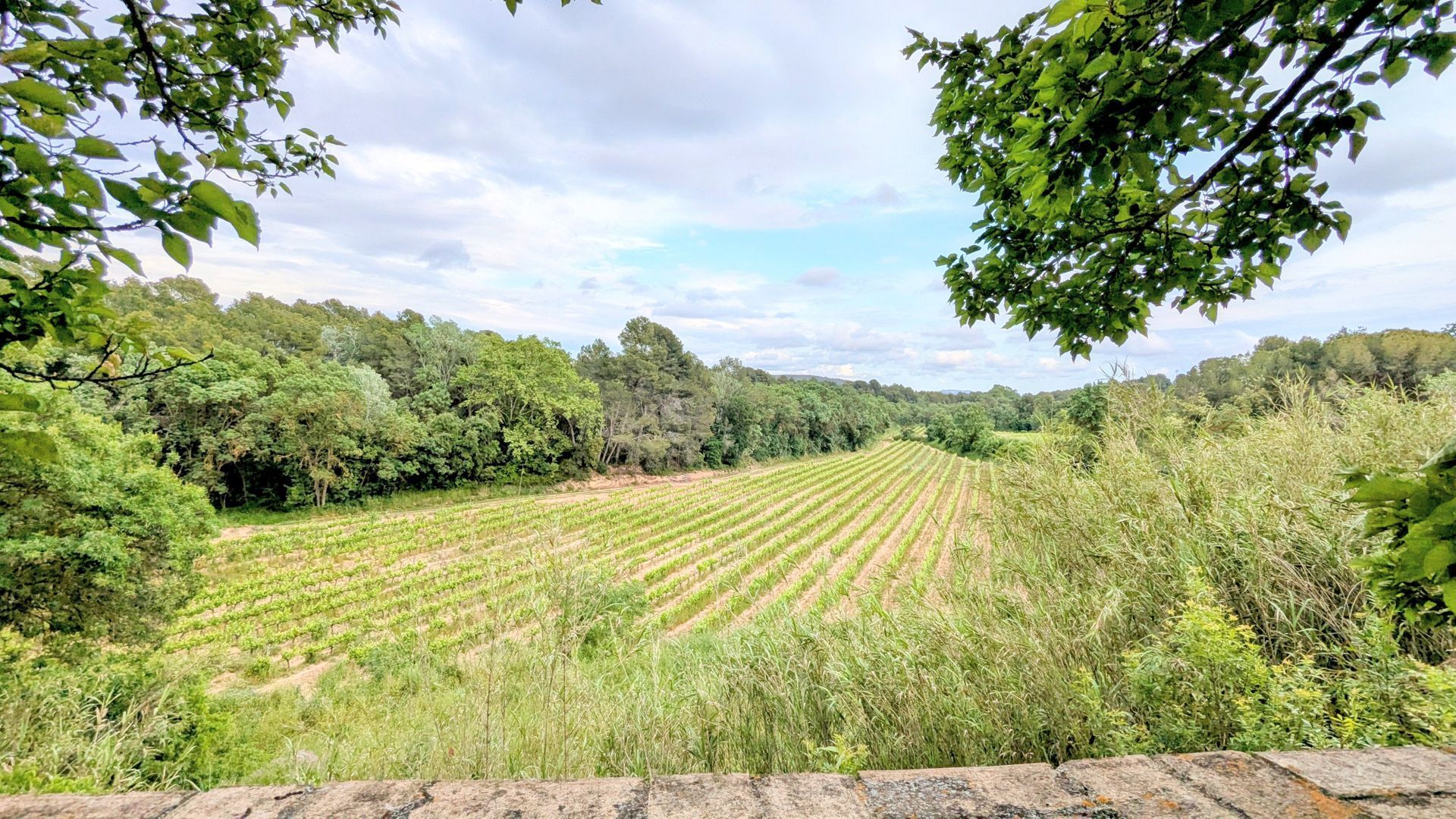 Baroness Castle, Catalan wine lands foto-4