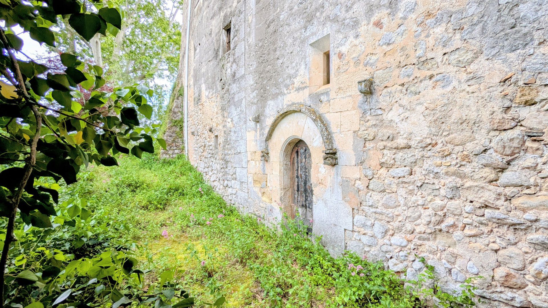 Baroness Castle, Catalan wine lands foto-5