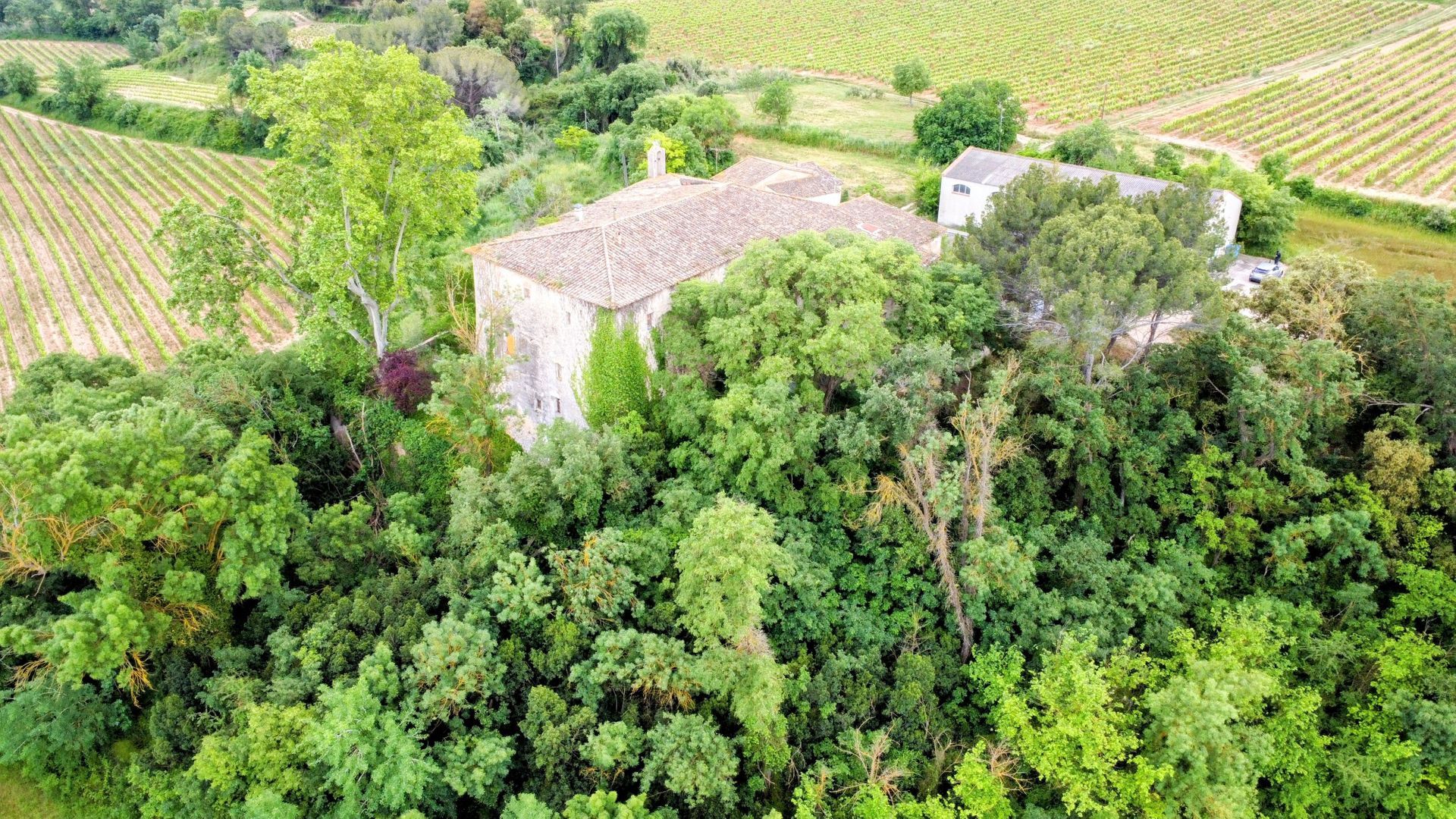 Baroness Castle, Catalan wine lands foto-1