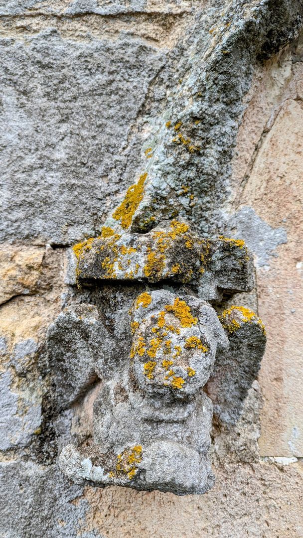 Baroness Castle, Catalan wine lands foto-7