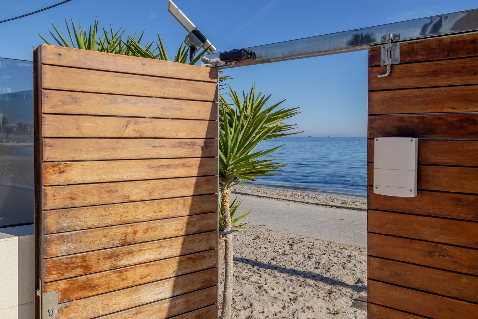 Av Pere matutes noguera, Ibiza foto-7