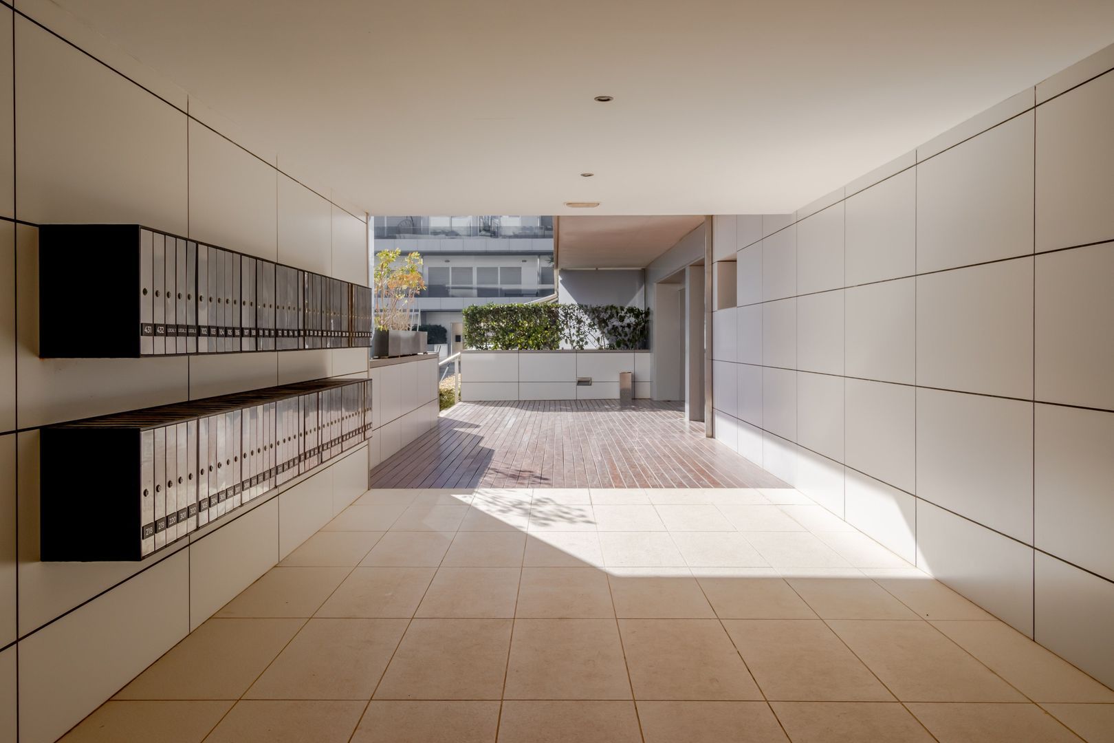 Av Pere matutes noguera, Ibiza foto-36