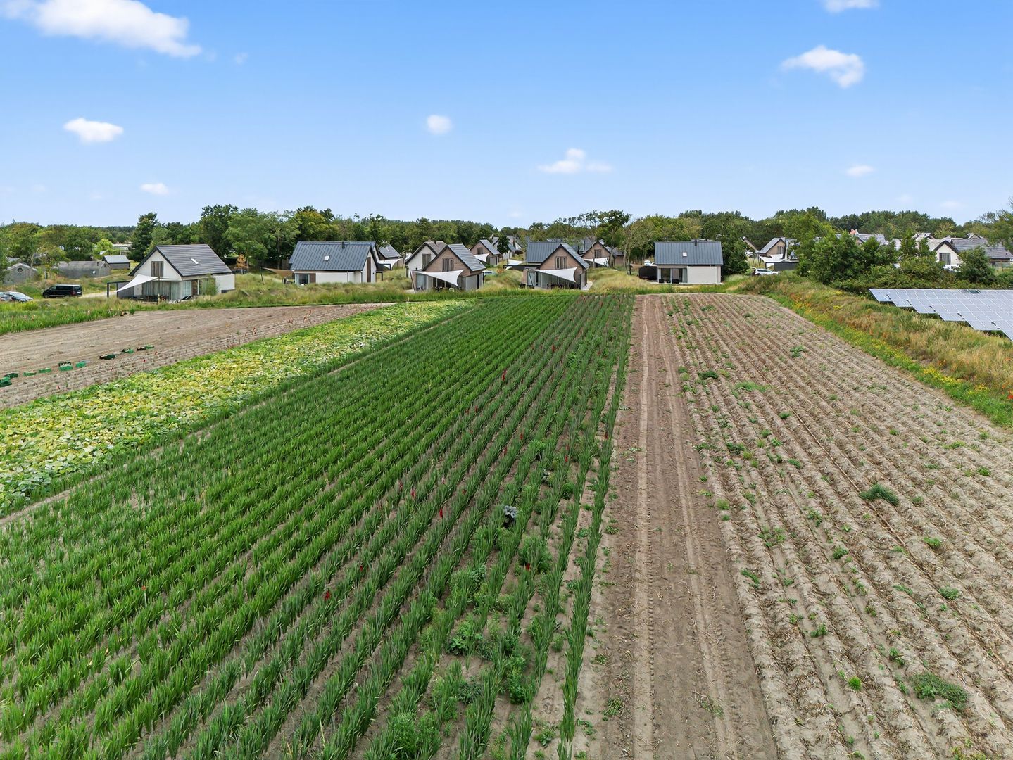 Ridderstee 131, Ouddorp foto-5