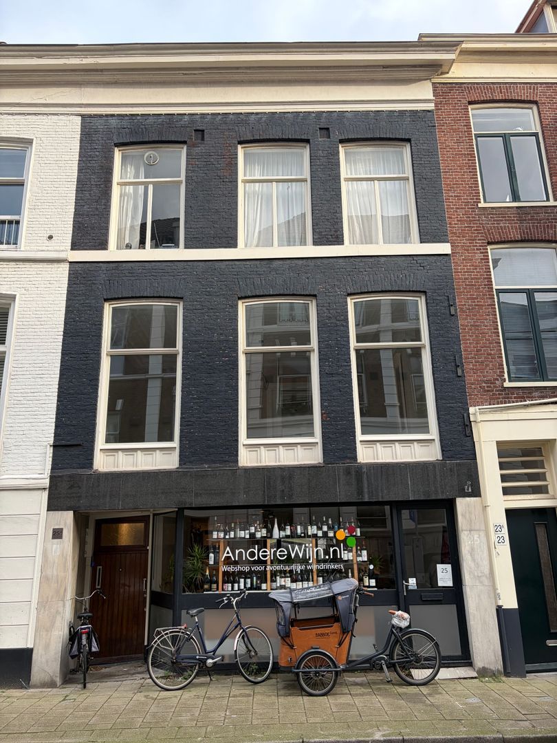 Anna Paulownastraat 25 A, Den Haag foto-1 blur