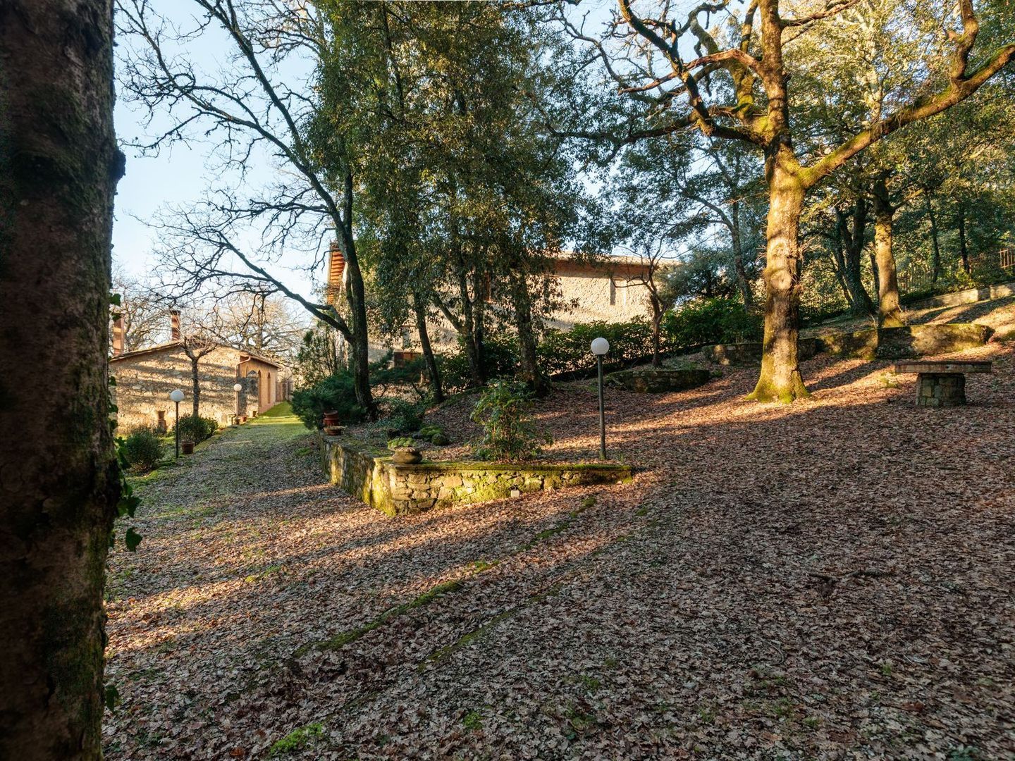 Loclità Marmoraia, Casole d'Elsa foto-31