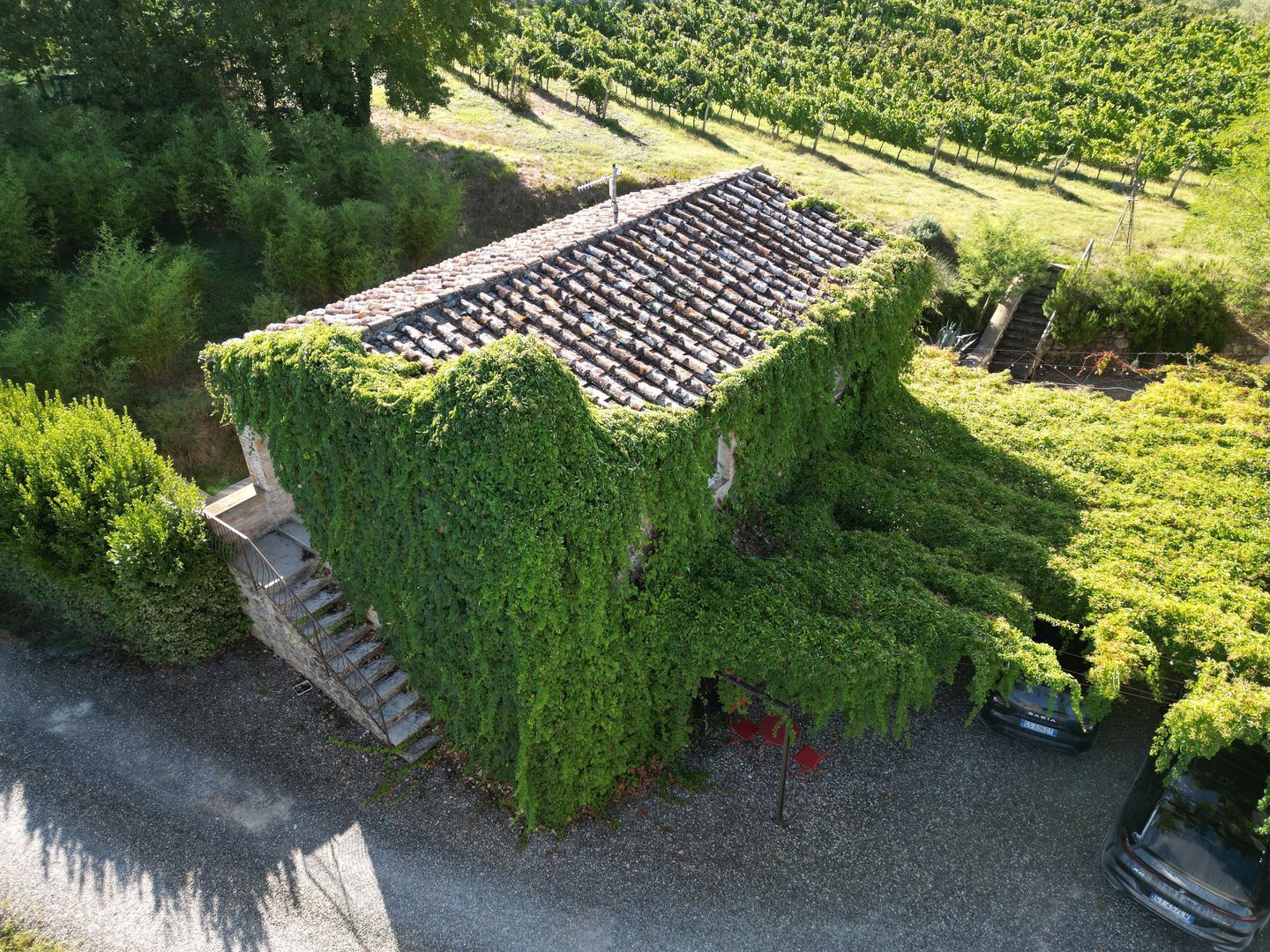 Archirivolto, Casole d'Elsa foto-51